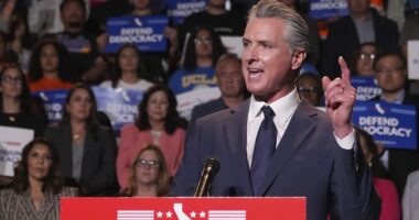 Newsom teases MAGA-like campaign merchandise