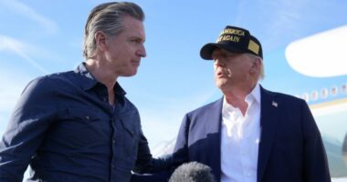 Newsom’s Trump act wins raves from Democrats