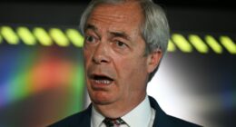 Nigel Farage at a press conference.