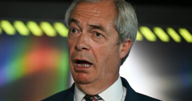 Nigel Farage at a press conference.