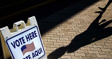 'No Exceptions': Trump to Sign EO Requiring Voter I.D. in Elections