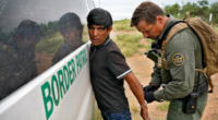 No, That Wood-Chopping Illegal Alien in Washington State Is Not a 'Firefighter' or 'Victim'