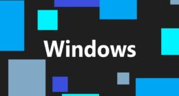 No, a Windows update probably didn’t brick your SSD