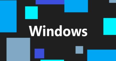No, a Windows update probably didn’t brick your SSD