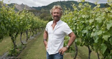 Noel Edmonds has bought a house in the UK after his reality show about his New Zealand estate was axed by ITV - despite rave reviews from critics and fans