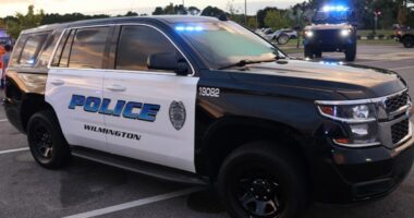 North Carolina election official arrested, accused of spiking granddaughters' ice cream with drugs