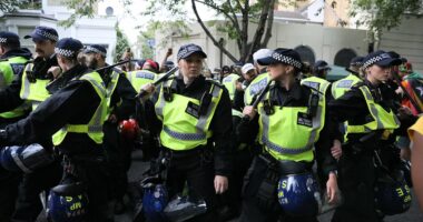 Officers at Notting Hill Carnival fear being attacked or trampled