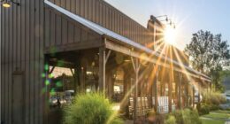 Oh My: Steak 'n Shake Schools Cracker Barrel on Abandoning Their History