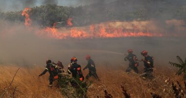 One person dies in Greece as wildfires rage across Europe