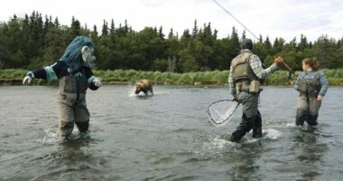 PETA's bizarre response after Kraken team mascot was chased by bear