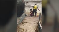 Pakistan flood news: Over 150 still missing, death toll nearing 300 after flooding in northwest Pakistan