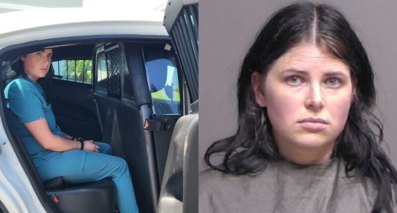 Palm Coast woman accused of posing as nurse, treating over 4,400 patients