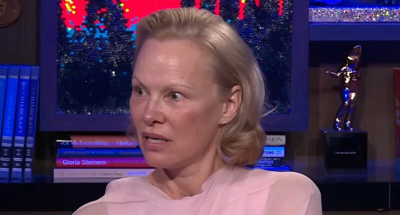 Pamela Anderson breaks silence on Meghan Markle's 'rip off' show