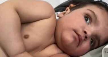 Parents of missing baby are ARRESTED after claiming he was abducted