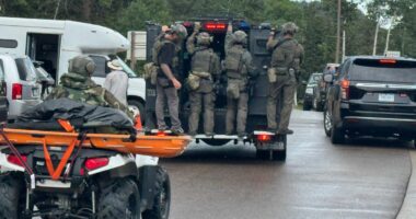 Park ranger's claim he was stabbed 'elaborate hoax': Cops