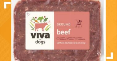 Pet food recalled nationwide, may contain Listeria or Salmonella: Full list