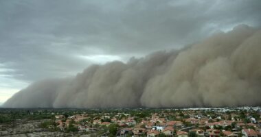 Phoenix is blanketed in thick wall of dust as major Monsoon hits