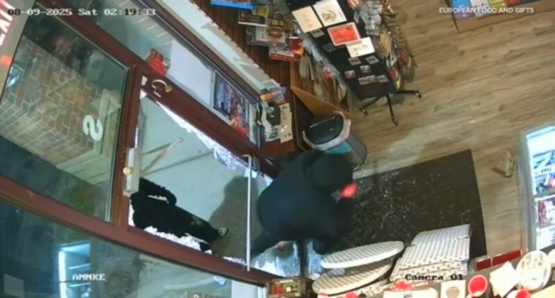 Police investigate small business burglaries in Third Lake, Illinois; theft at European Food & Gifts caught on surveillance video