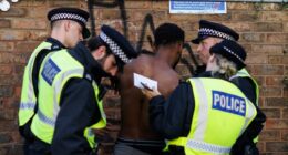 Police 'make arrests left, right and centre' at Notting Hill Carnival