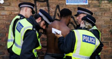 Police 'make arrests left, right and centre' at Notting Hill Carnival