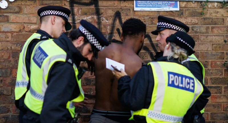 Police 'make arrests left, right and centre' at Notting Hill Carnival