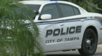 Police search for person involved in Dale Mabry hit-and-run