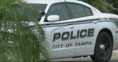 Police search for person involved in Dale Mabry hit-and-run