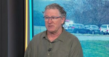Criminologist Doctor Vincent Hurley