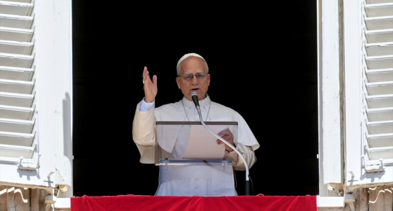 Pope Leo XIV demands end to the 'pandemic of arms' as he prays for victims of Minnesota school shooting