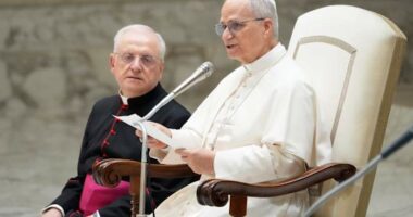 Pope Leo XIV denounces 'pandemic of arms' as he prays for victims of Minnesota school shooting