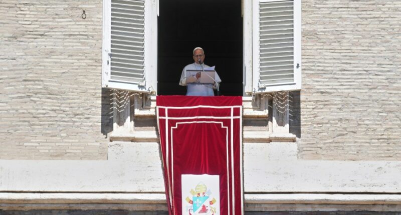 Pope demands end to the 'pandemic of arms' as he prays for victims of Minnesota school shooting