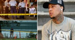 Possible tie between moped-robber migrant shot by NYC cop and shooting of border agent