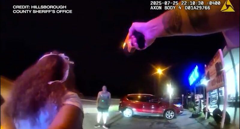 Pregnant woman accuses Hillsborough County Sheriff deputy of excessive force during relative's traffic stop
