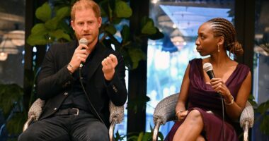 Prince Harry QUITS his charity as report into row rejects racism claim