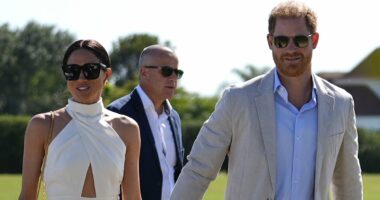 'Prince Harry must stop being a victim', Queen's press secretary says