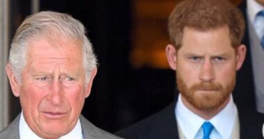 Prince Harry 'to meet with King Charles' when he returns to UK for anniversary of Queen Elizabeth II's death - as sources say 'reconciliation is within reach'