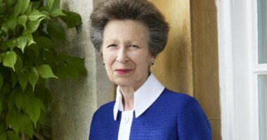 Princess Anne looks regal in new photo released for her 75th birthday