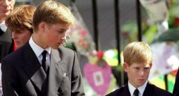 Princess Diana's last conversation with William before she died was about their shared concern that he was 'overshadowing Harry', royal author claims