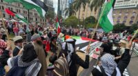 Protesters gather at Queens Gardens in Brisbane. 24/8/2025