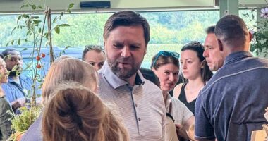 Protesters hold 'not welcome party' for JD Vance in the Cotswolds