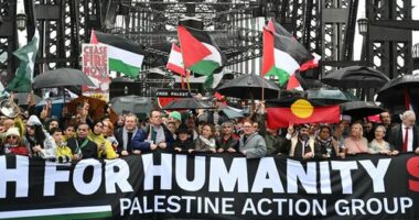 Pro-Palestine protesters march across the Sydney Harbour Bridge to bring attention to the ongoing Israel bombing and aid restrictions to Gaza. 3 August 2025 Photo: Janie Barrett
