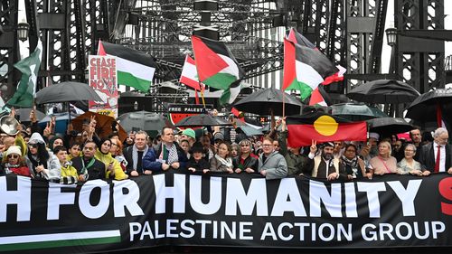 Pro-Palestine protesters march across the Sydney Harbour Bridge to bring attention to the ongoing Israel bombing and aid restrictions to Gaza. 3 August 2025 Photo: Janie Barrett
