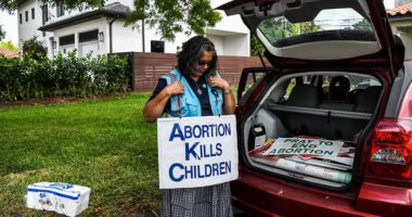 Public school teacher reveals years-long effort to expose alleged student abortion scandal
