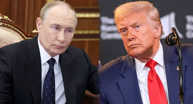 Putin praises Trump’s ‘sincere’ peace efforts, signals possible US-Russia nuclear deal