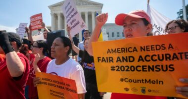 Q&A: Can Trump hold a census in the middle of a decade and exclude immigrants in the US illegally?