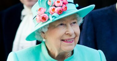 Queen Elizabeth was a REMAINER, royal book claims