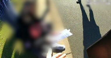 Bodycam footage provided by Queensland Police after a man was charged with domestic violence offences in June, 2025.