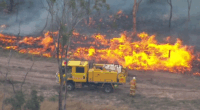 Up to 300 people have been evacuated from a campground at Lake Wivenhoe in the Somerset Region.
