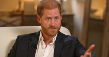 ROBERT HARDMAN: Why Palace was SO appalled by Harry's TV 'stitch-up'