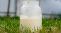 Raw milk tied to over 21 illness cases, 7 hospitalizations in Florida